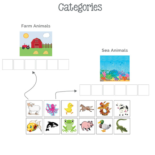 Categories - Animals